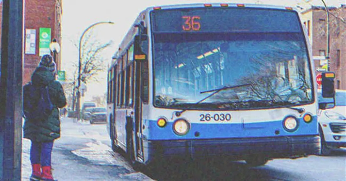 Bus Driver Kicks Out Little Girl Unable to Pay Bus Fare, Sees Her Again ...