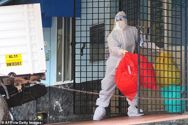 Deadly bat-borne virus with no cure is spreading in India with ‘epidemic potential’ as new cases emerge