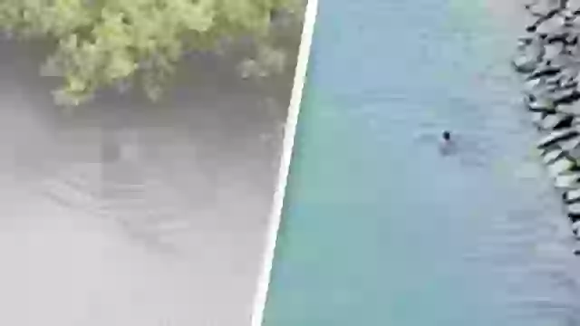 One-year-old boy eaten alive by crocodile in front of father after being snatched from fishing canoe