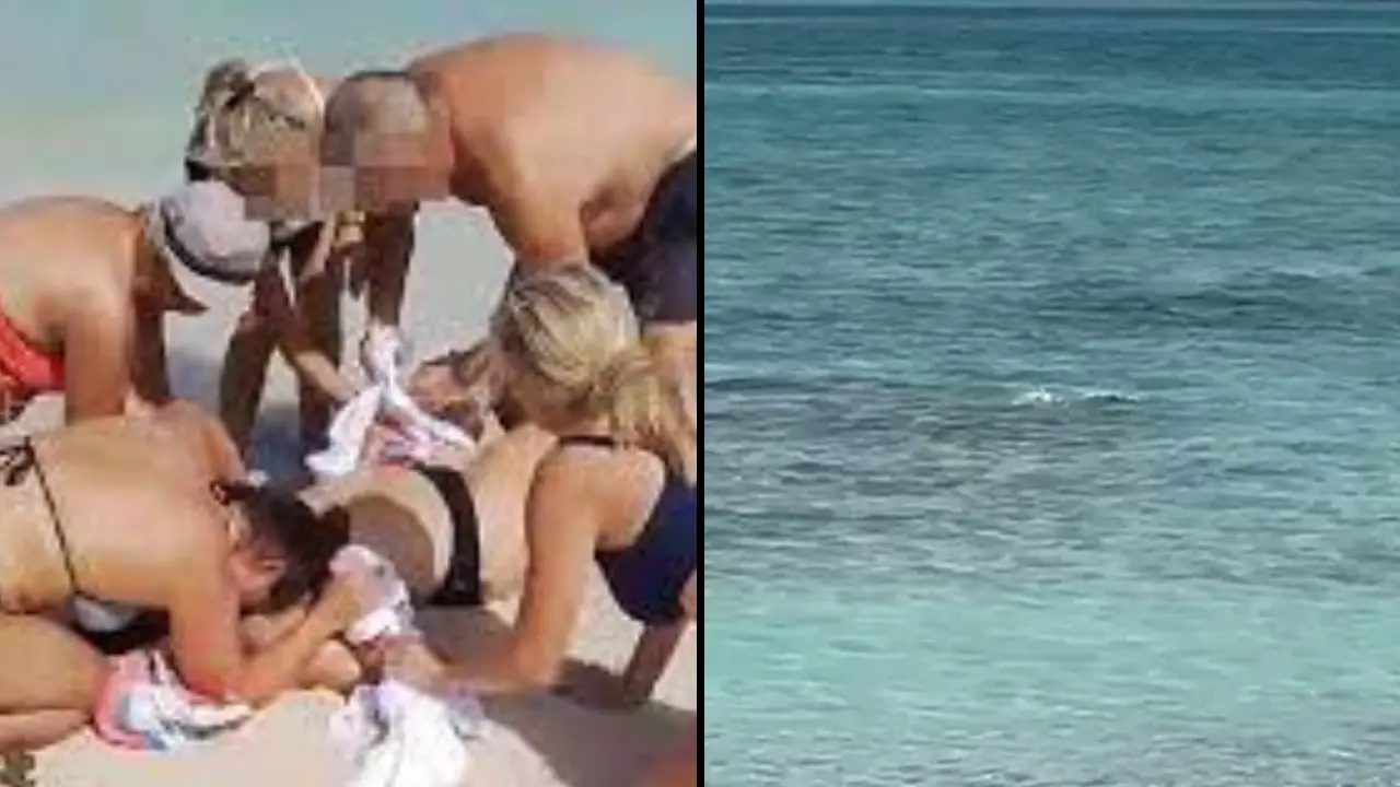 Authorities Issue Warning After Tourist Has Hands Bitten Off By Shark