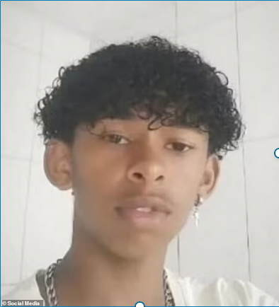 Boy, 14, dies after ‘injecting himself with butterfly remains mixed with water’ – as police probe if he was taking part in an online ‘challenge’