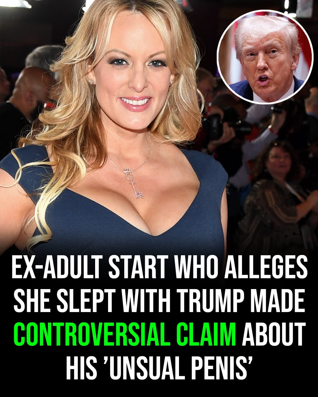 Ex-adult star who says she slept with Trump made one surprising claim about his manhood