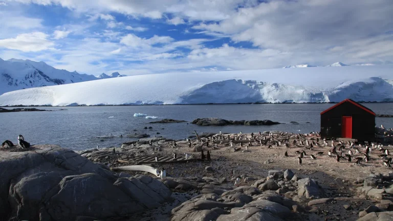 Meet the team running Antarctica’s Penguin Post Office
