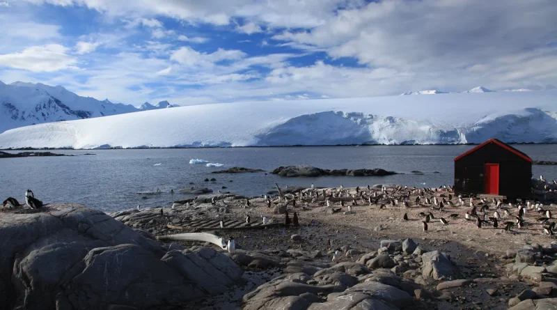 Snowy mountains and a small red-roofed hut beside a bay full of gentoo penguins at Port Lockroy